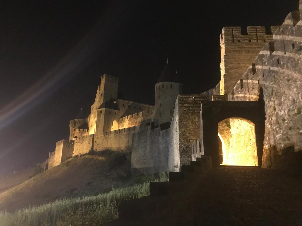 Le Clos Saint Michel Каркассонн Екстер'єр фото