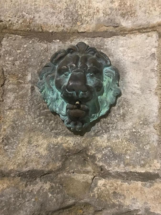 Le Clos Saint Michel Каркассонн Екстер'єр фото